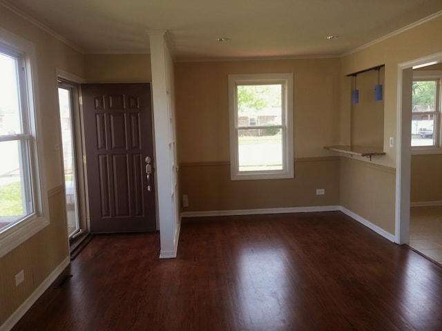 foyer with crown molding, dark hardwood / wood-style floors, and a healthy amount of sunlight