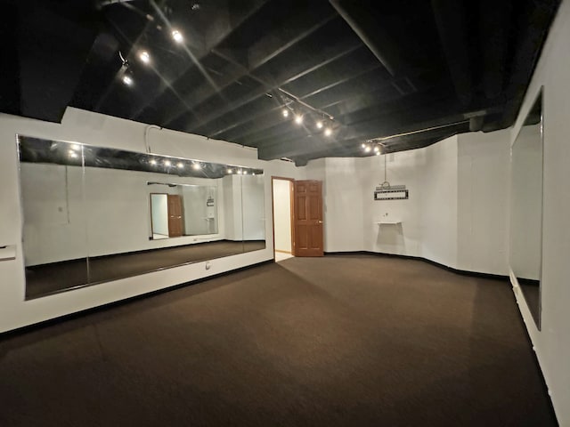 basement featuring carpet and rail lighting