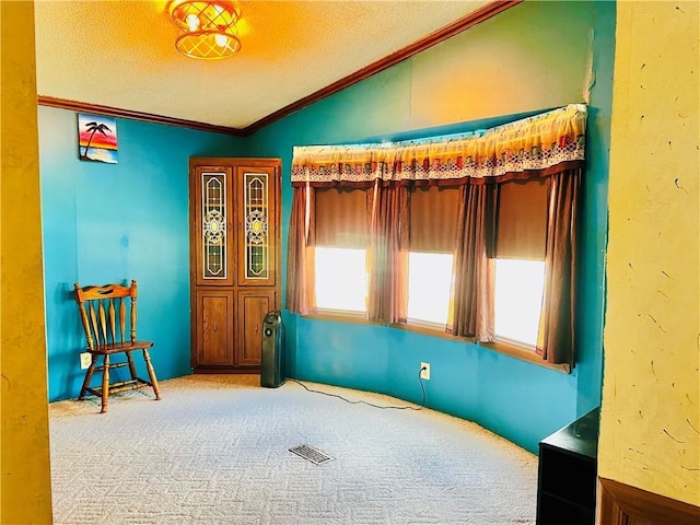 interior space featuring crown molding, vaulted ceiling, carpet, and a textured ceiling