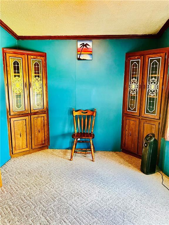 sitting room with lofted ceiling, crown molding, light colored carpet, and a textured ceiling