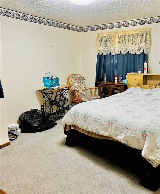 bedroom with carpet floors and a textured ceiling