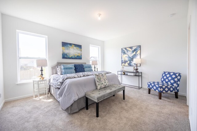 bedroom featuring multiple windows and light carpet