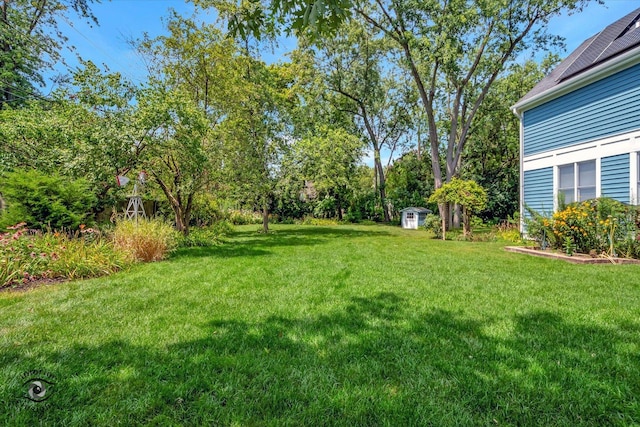 view of yard featuring an outdoor structure and a storage shed