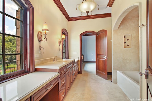 bathroom featuring vanity, ornamental molding, and a bathing tub