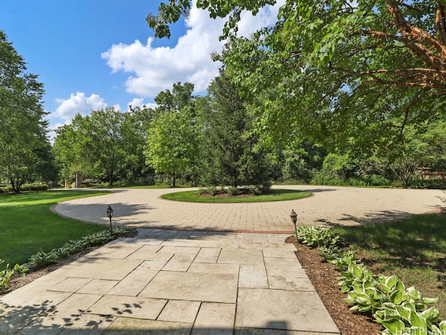 view of property's community with a yard