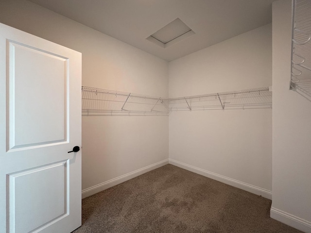 spacious closet featuring dark carpet