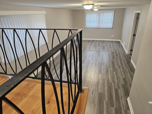 staircase with wood-type flooring