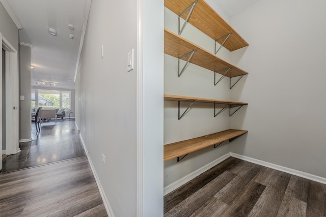 interior space featuring crown molding and dark hardwood / wood-style floors