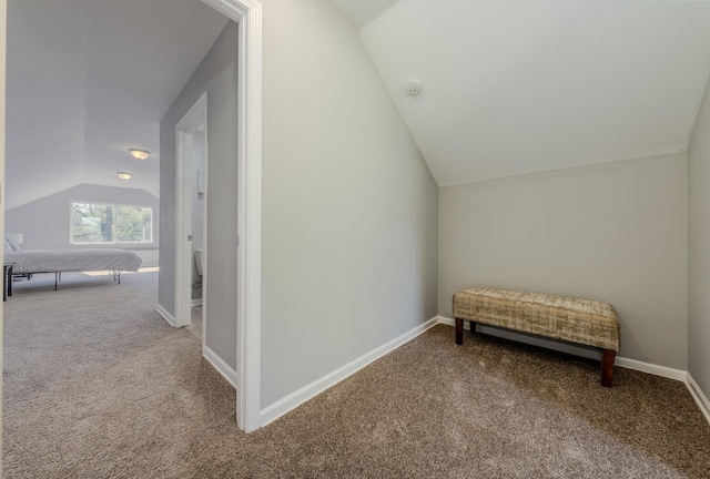 additional living space featuring carpet flooring and vaulted ceiling