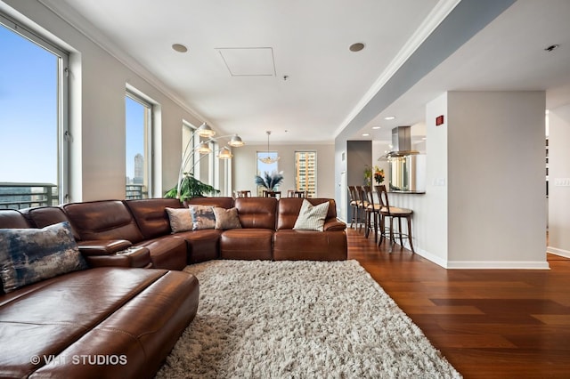 1250 S Michigan Ave Unit 2900, Chicago, IL 60605 - living area featuring ornamental molding, dark wood finished floors, and baseboards