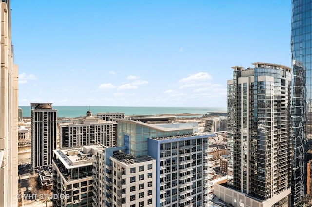 1250 S Michigan Ave Unit 2900, Chicago, IL 60605 - property's view of city featuring a water view