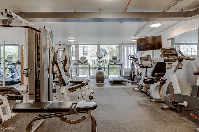 exercise room featuring floor to ceiling windows