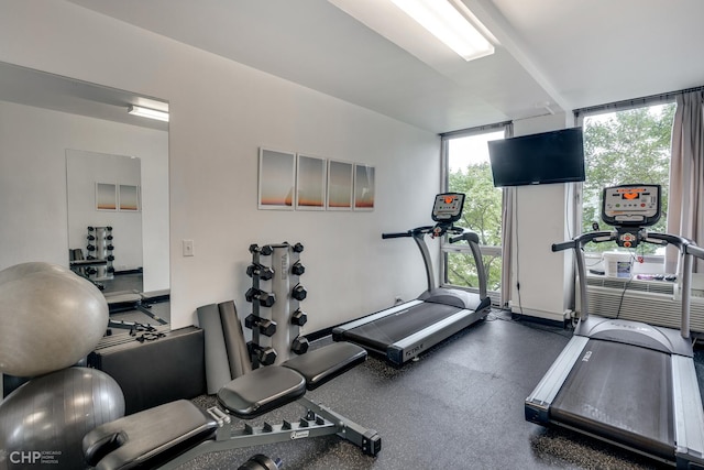 gym with floor to ceiling windows