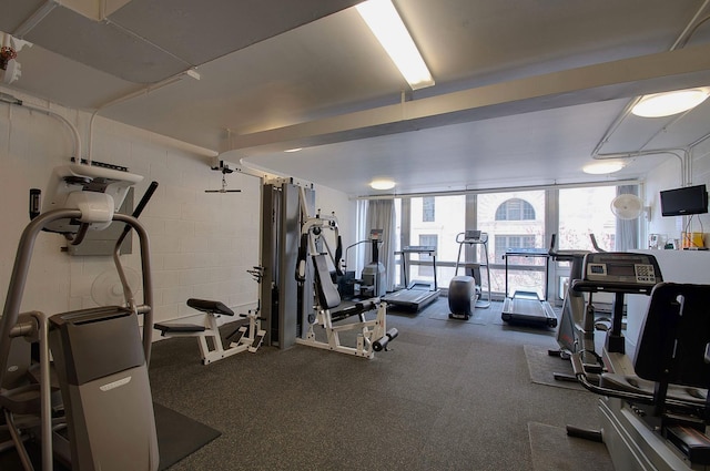 exercise room with floor to ceiling windows