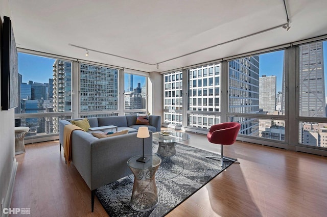 living room featuring hardwood / wood-style flooring, a wealth of natural light, and floor to ceiling windows