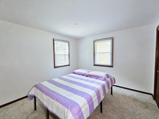 carpeted bedroom with multiple windows