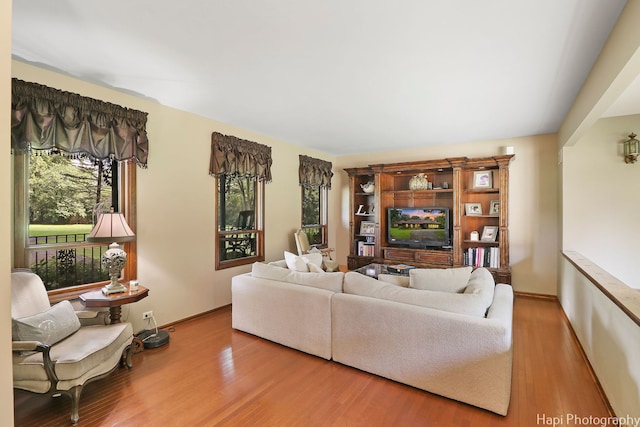 living room featuring hardwood / wood-style flooring