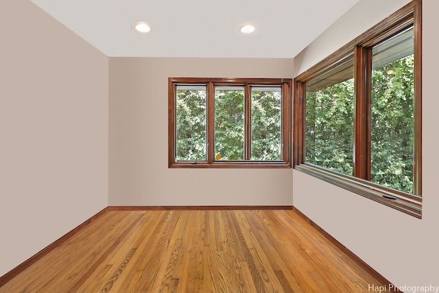 empty room with light hardwood / wood-style flooring and a wealth of natural light