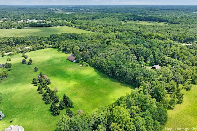 bird's eye view