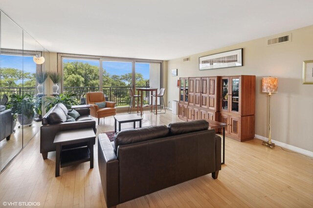 living room featuring expansive windows and light hardwood / wood-style flooring