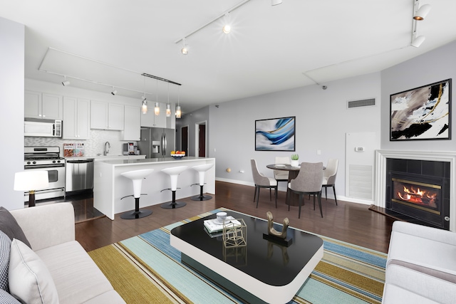 living room with sink, a fireplace, rail lighting, and dark hardwood / wood-style floors