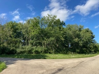 142 Indian Hills Dr, Putnam IL, 61560 land for sale