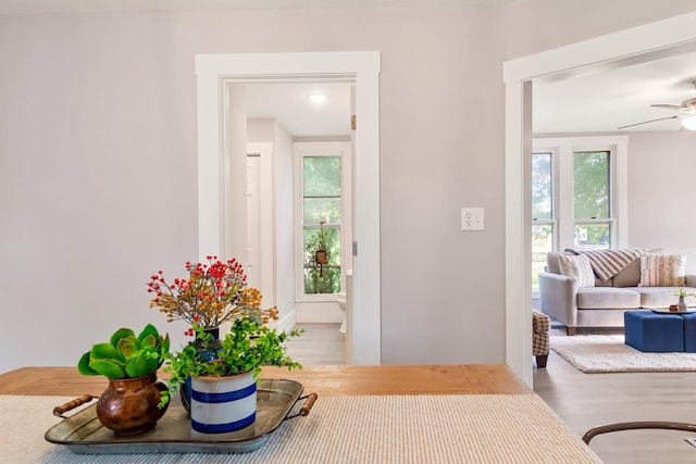 doorway featuring hardwood / wood-style flooring, a healthy amount of sunlight, and ceiling fan