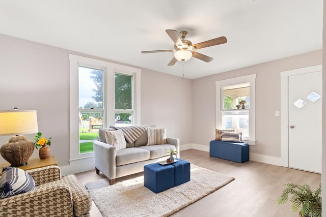 living room with ceiling fan and light wood-type flooring