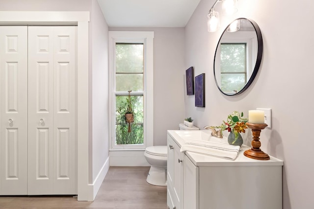 bathroom featuring vanity, toilet, and wood-type flooring