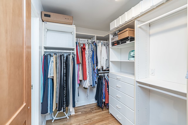 spacious closet featuring light wood-type flooring