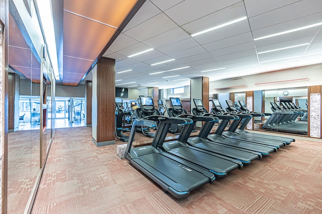 exercise room featuring a drop ceiling and carpet flooring