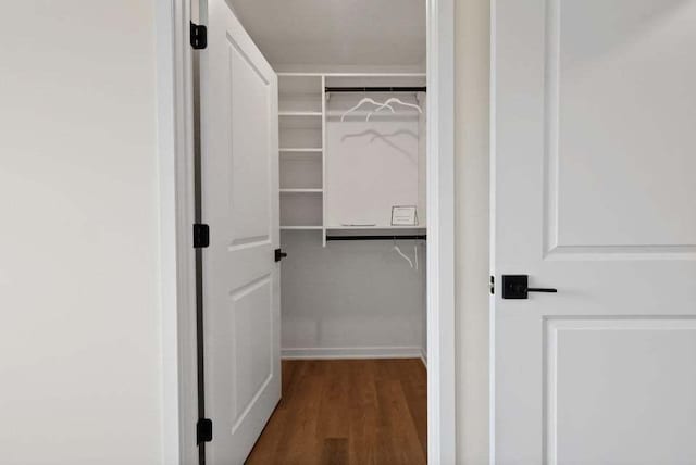 spacious closet featuring wood finished floors