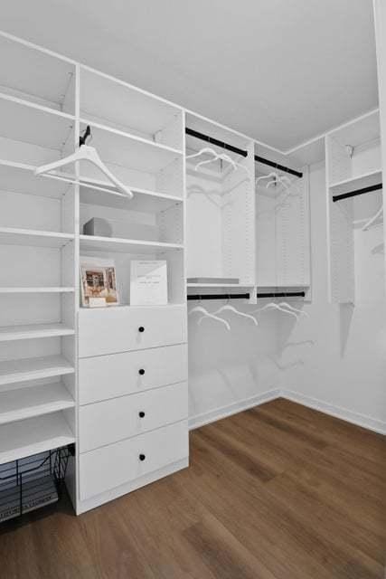 walk in closet with dark wood finished floors