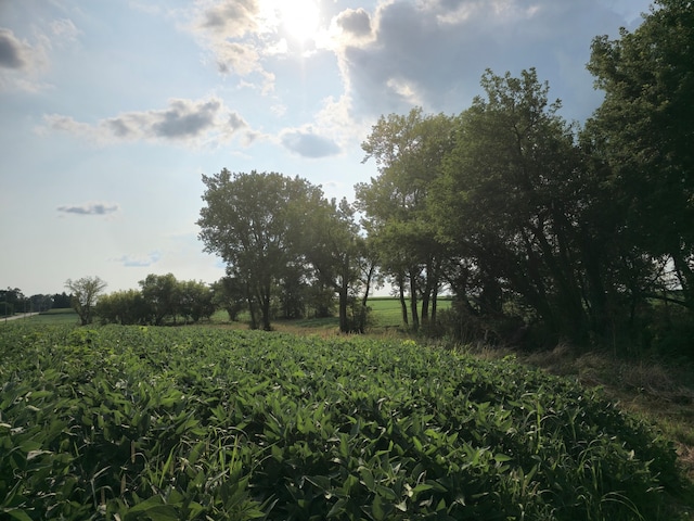 view of nature with a rural view