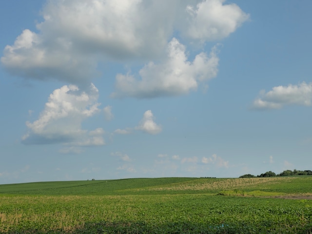 view of local wilderness with a rural view