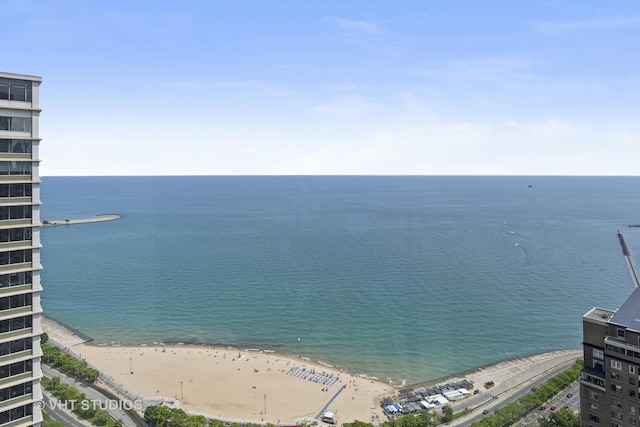 view of water feature featuring a beach view