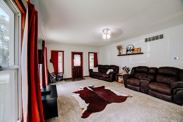 view of carpeted living room