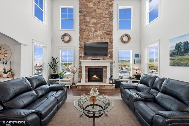 living room featuring a stone fireplace and wood-type flooring