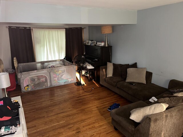 living room with hardwood / wood-style floors