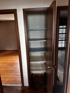 view of closet