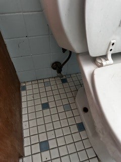 16631 Langley Ave, South Holland, IL 60473 - details with toilet