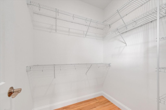 704 Justice St, Tuscola, IL 61953 - walk in closet with light wood finished floors