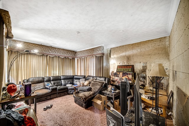 carpeted living room featuring crown molding and a textured ceiling