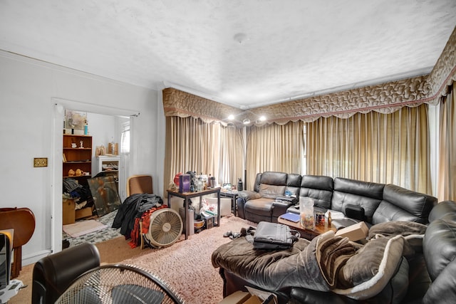 living room featuring crown molding, a textured ceiling, and carpet