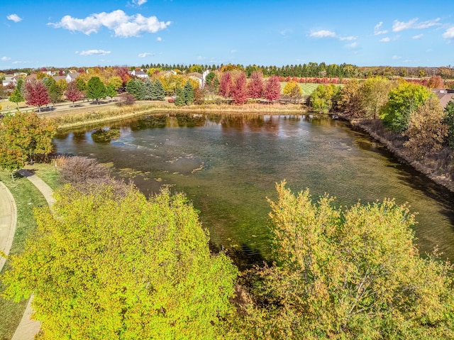 property view of water