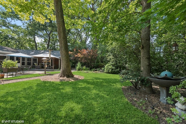 view of yard featuring a patio