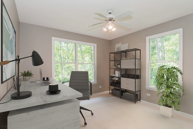 office area featuring carpet flooring, ceiling fan, and a healthy amount of sunlight