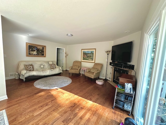 living room with hardwood / wood-style floors