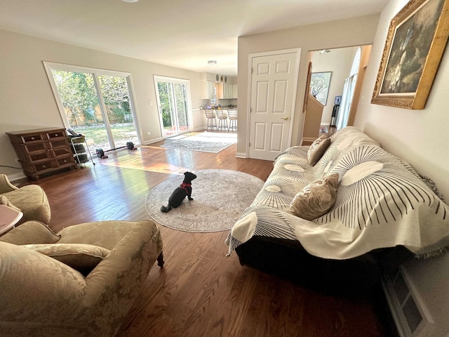 living room with hardwood / wood-style flooring