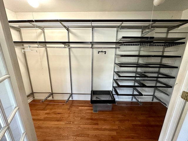 spacious closet featuring wood-type flooring